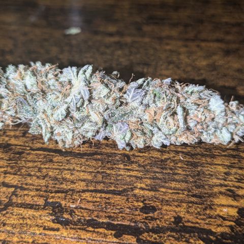 Purple Queen growlog photo: Made cannabis caviar
Royal Queen Seeds Purple Queen  for the nuggies

QWISO made from trim from Purple Queen,Sour Diesel, Northern Lights, Sangria Auto

Kief from same assorted strains