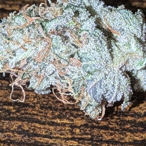 Purple Queen growlog photo: Made cannabis caviar
Royal Queen Seeds Purple Queen  for the nuggies

QWISO made from trim from Purple Queen,Sour Diesel, Northern Lights, Sangria Auto

Kief from same assorted strains