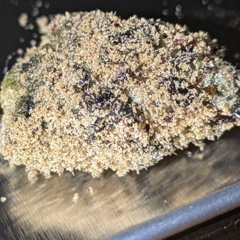 Purple Queen growlog photo: Made cannabis caviar
Royal Queen Seeds Purple Queen  for the nuggies

QWISO made from trim from Purple Queen,Sour Diesel, Northern Lights, Sangria Auto

Kief from same assorted strains