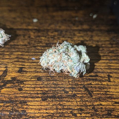 Purple Queen growlog photo: Made cannabis caviar
Royal Queen Seeds Purple Queen  for the nuggies

QWISO made from trim from Purple Queen,Sour Diesel, Northern Lights, Sangria Auto

Kief from same assorted strains