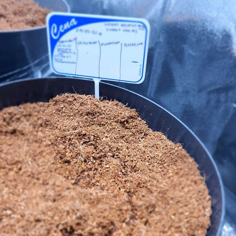 Sweet Gelato growlog timeline photo