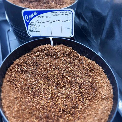 Sweet Gelato growlog timeline photo