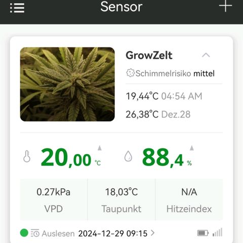 Walburga #1 growlog timeline photo