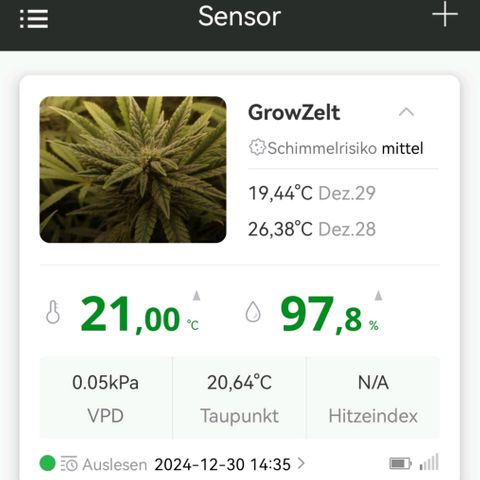 Walburga #1 growlog timeline photo