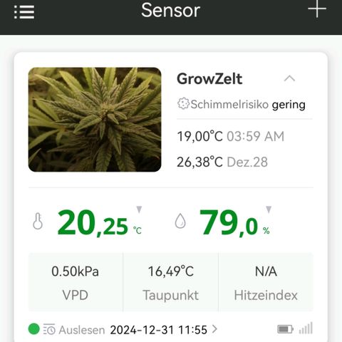 Walburga #3 growlog timeline photo