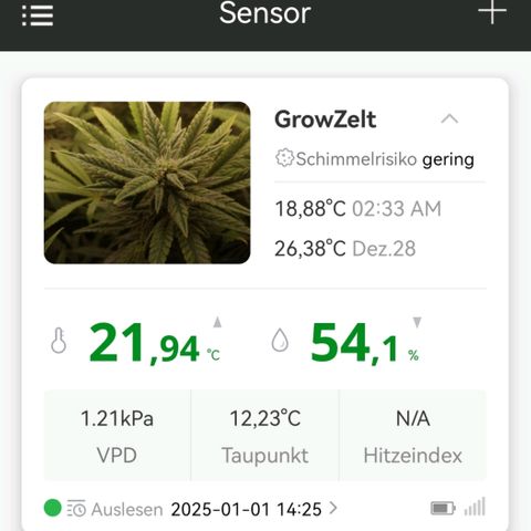 Walburga #3 growlog timeline photo