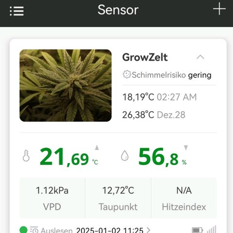 Walburga #3 growlog timeline photo