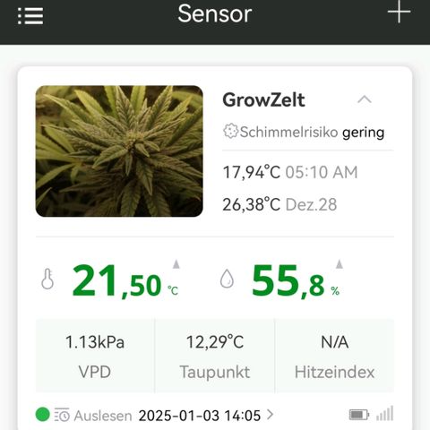 Walburga #3 growlog timeline photo
