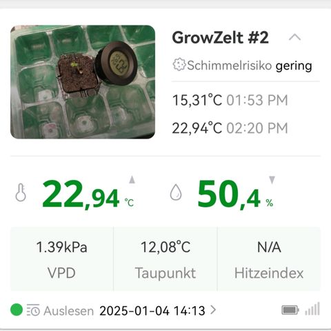 Walburga #3 growlog timeline photo
