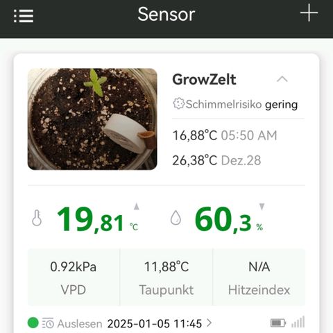 Walburga #1 growlog timeline photo
