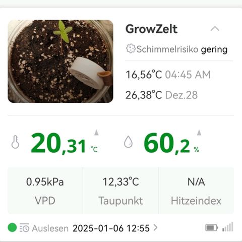 Walburga #1 growlog timeline photo