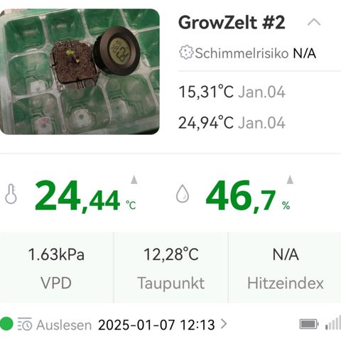 Walburga #3 growlog timeline photo