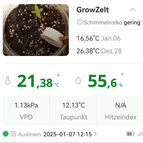 Walburga #1 growlog timeline photo