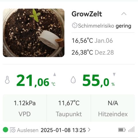 Walburga #1 growlog timeline photo