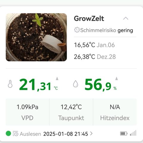 Walburga #2 growlog timeline photo