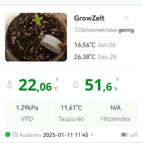 Walburga #2 growlog timeline photo