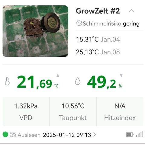 Walburga #3 growlog timeline photo
