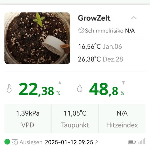 Walburga #1 growlog timeline photo
