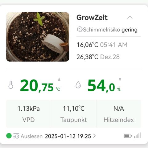 Walburga #2 growlog timeline photo