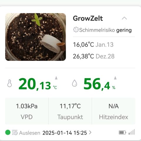 Walburga #2 growlog timeline photo