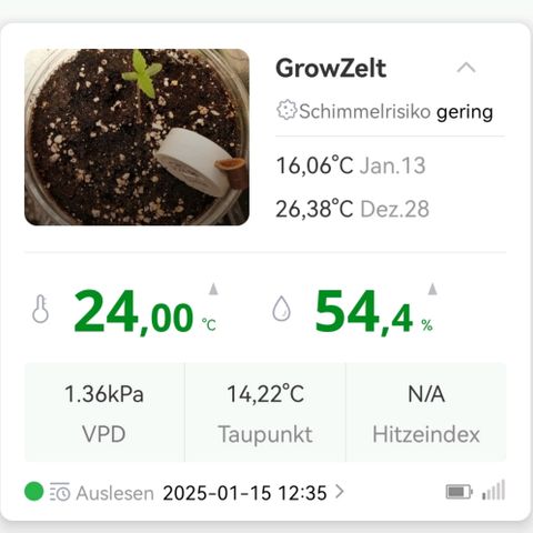 Walburga #1 growlog timeline photo