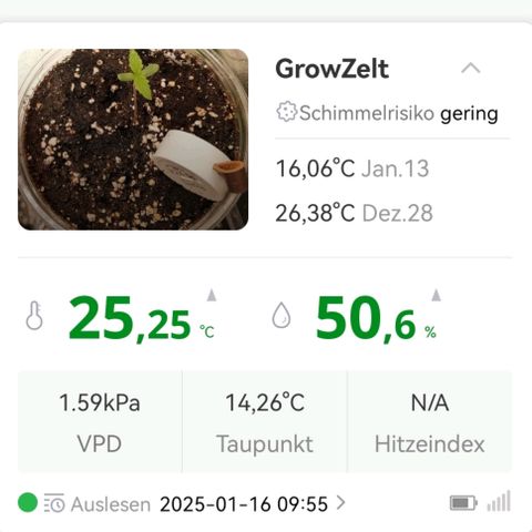 Walburga #3 growlog timeline photo