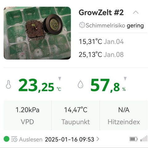 Walburga #2 growlog timeline photo