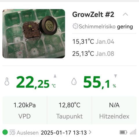 Walburga #3 growlog timeline photo