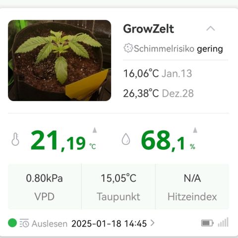 Walburga #1 growlog timeline photo