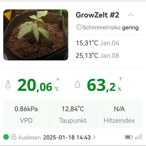 Walburga #3 growlog timeline photo