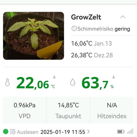 Walburga #2 growlog timeline photo