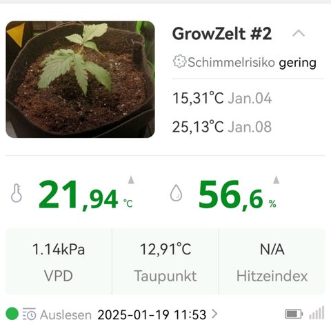 Walburga #3 growlog timeline photo