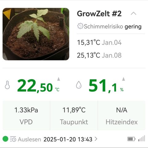 Walburga #3 growlog timeline photo