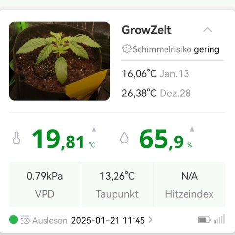 Walburga #1 growlog timeline photo