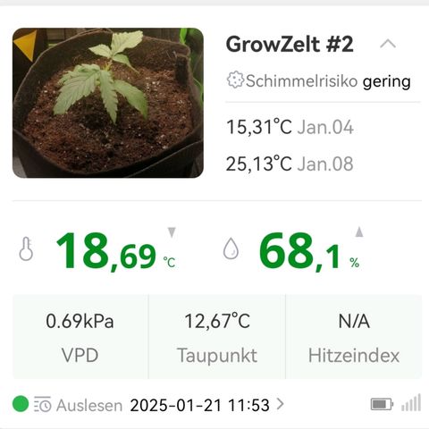 Walburga #3 growlog timeline photo