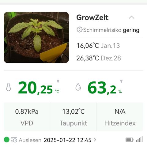 Walburga #1 growlog timeline photo
