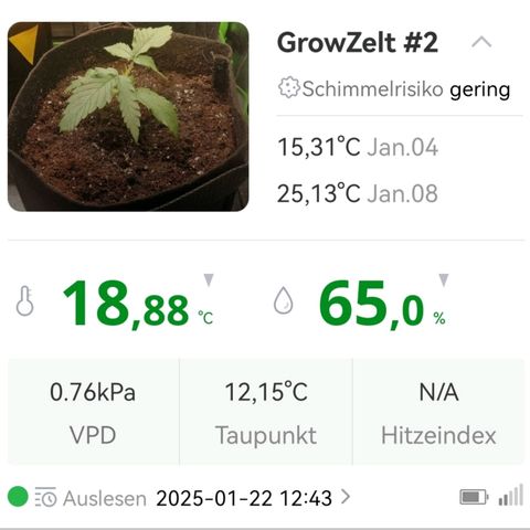 Walburga #3 growlog timeline photo