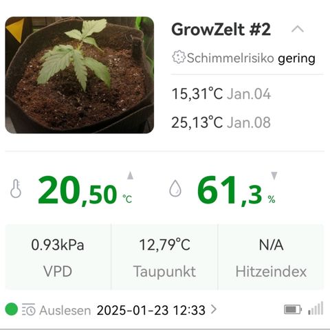Walburga #3 growlog timeline photo