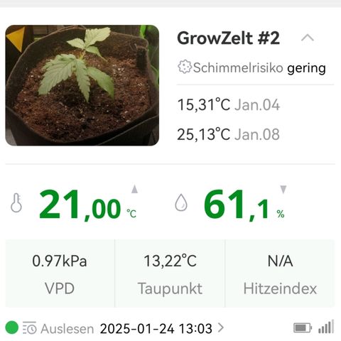 Walburga #3 growlog timeline photo