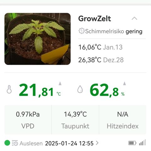 Walburga #2 growlog timeline photo