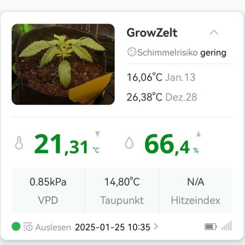 Walburga #3 growlog timeline photo