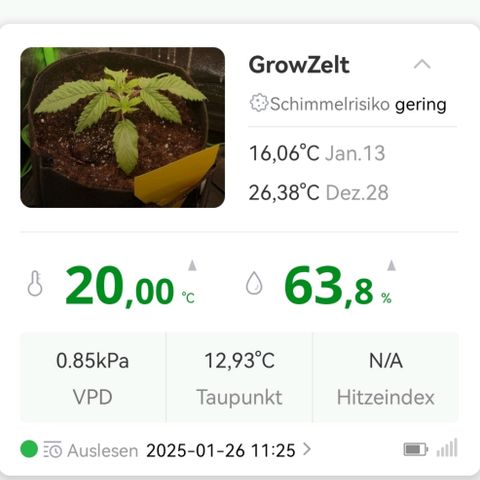 Walburga #2 growlog timeline photo