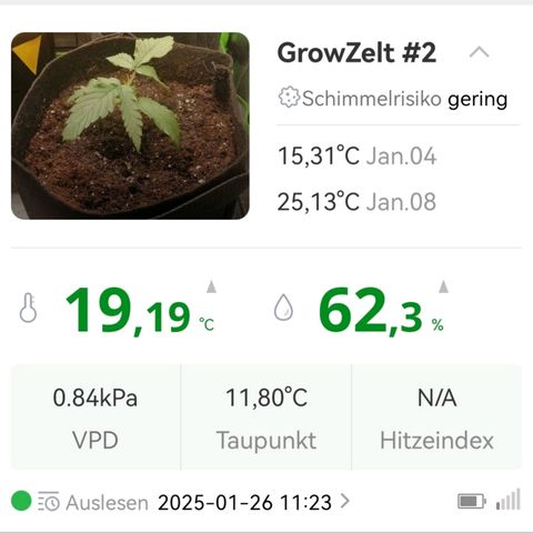 Walburga #3 growlog timeline photo