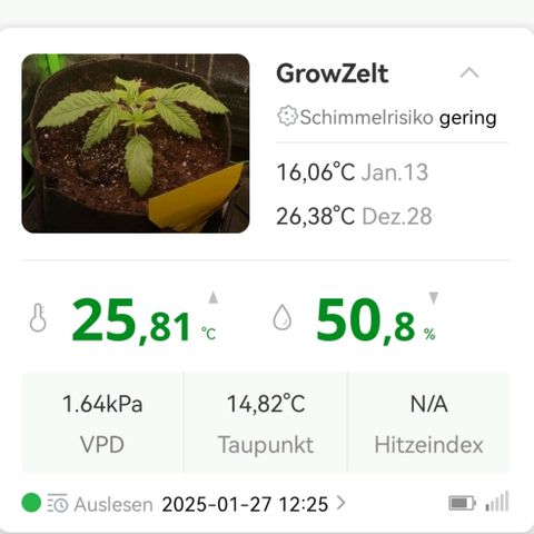 Walburga #1 growlog timeline photo