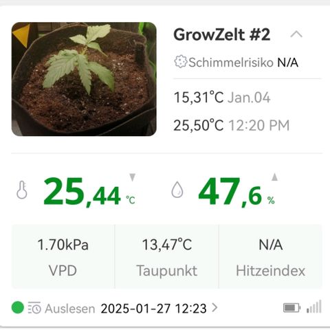 Walburga #3 growlog timeline photo