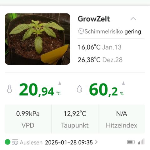 Walburga #1 growlog timeline photo