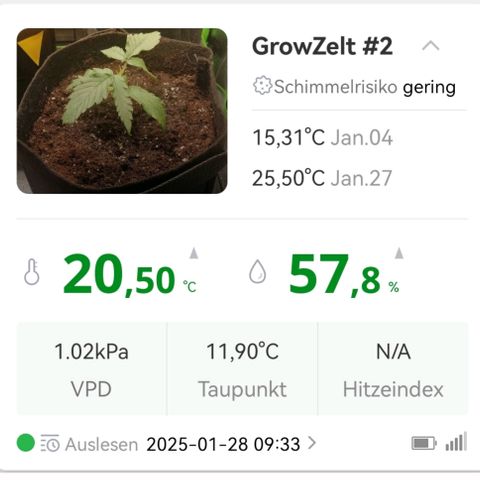 Walburga #2 growlog timeline photo