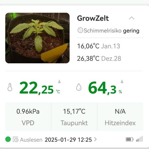 Walburga #2 growlog timeline photo