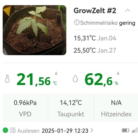 Walburga #3 growlog timeline photo