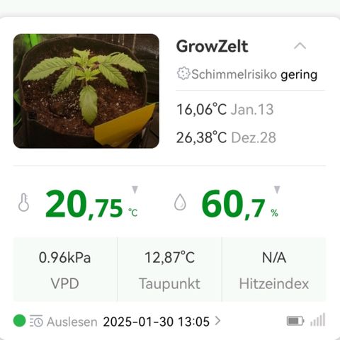 Walburga #2 growlog timeline photo